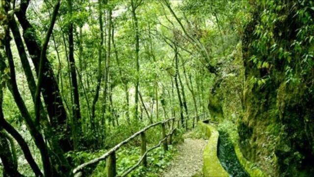 Willa Casa Deco, La Galga, La Palma Zewnętrze zdjęcie